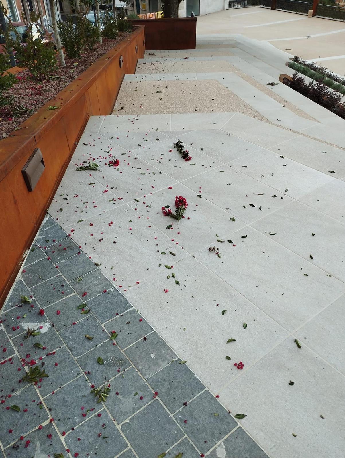 descrizione immagine